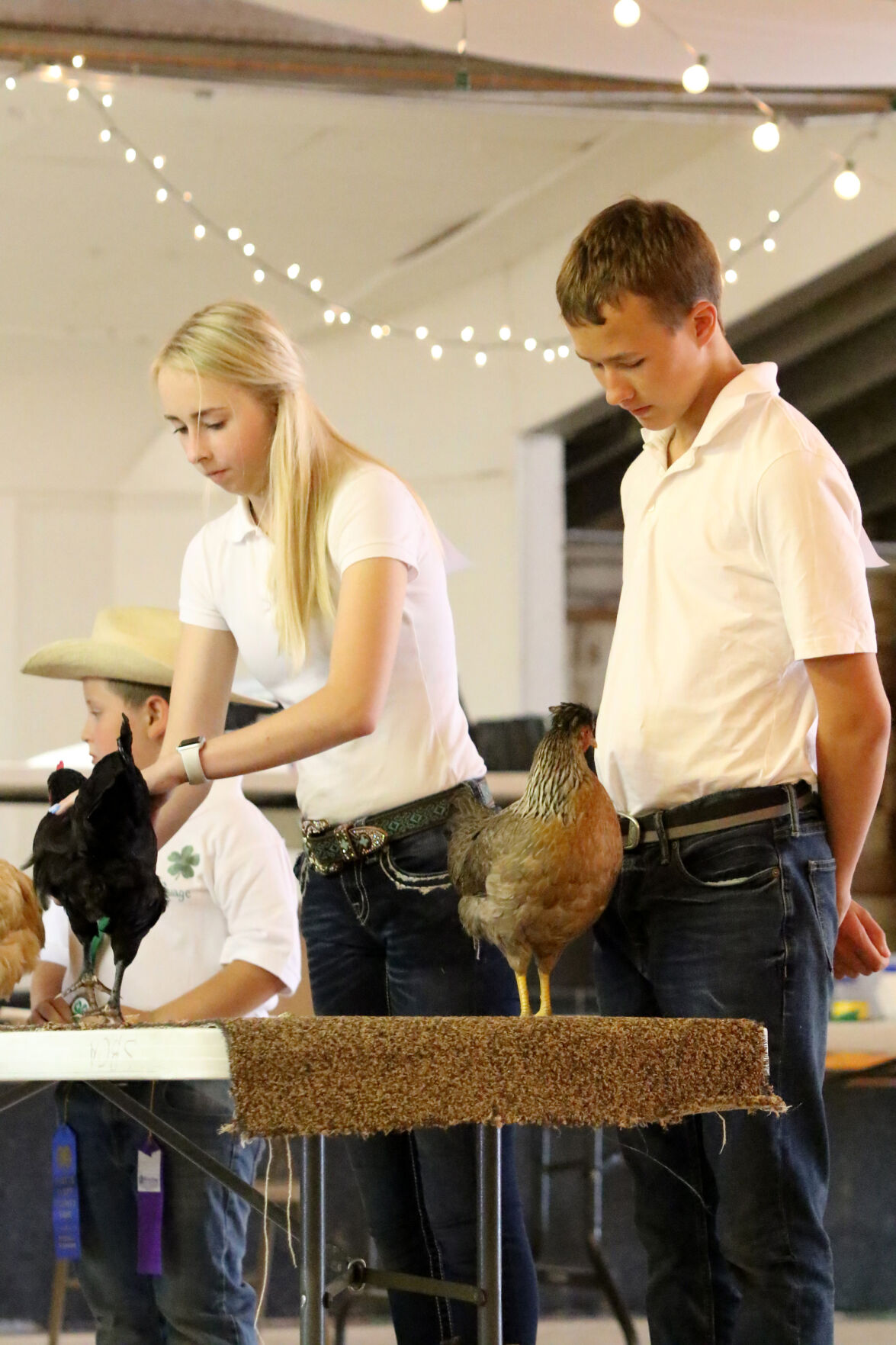 PHOTOS: Poultry Show at Scotts Bluff County Fair 2020